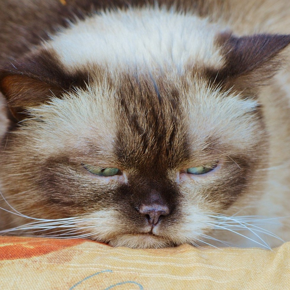 Suffering The January Blues? Don't - There Are Three Primary Colours