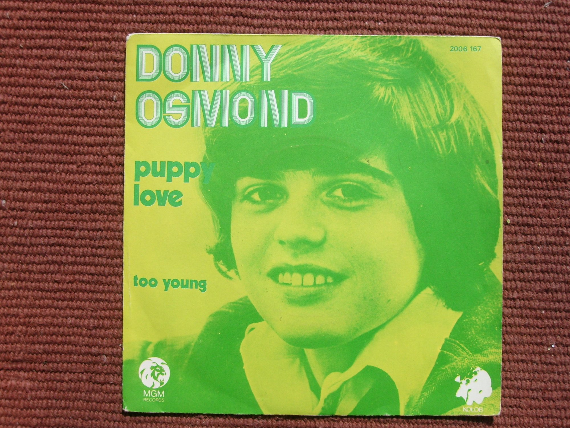 Donny Osmond Puppy Love