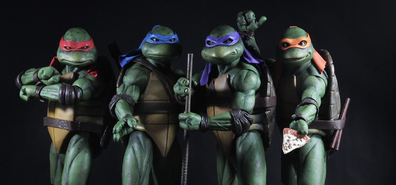 Teenage mutant hero turtles