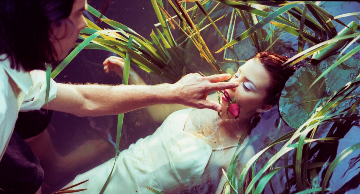 Where The Wild Roses Grow