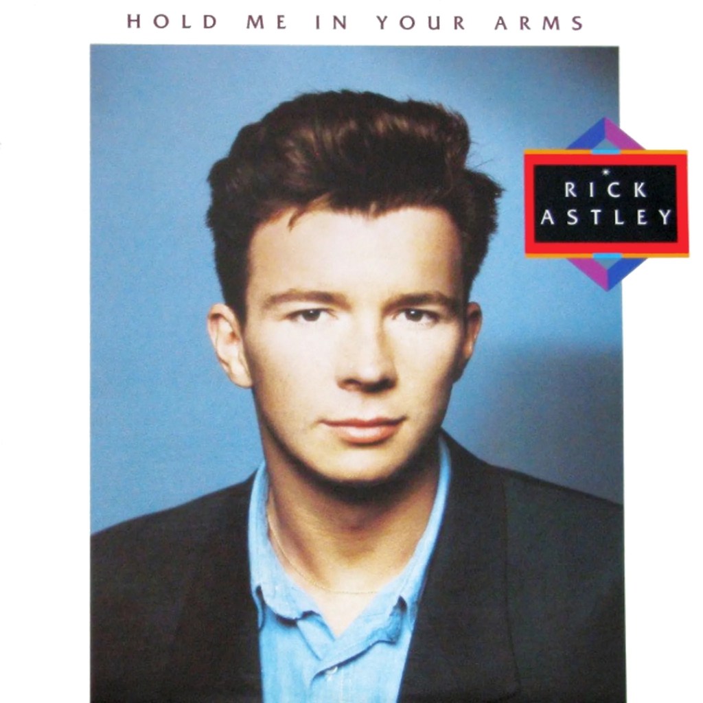 rick astley hold me in your arms